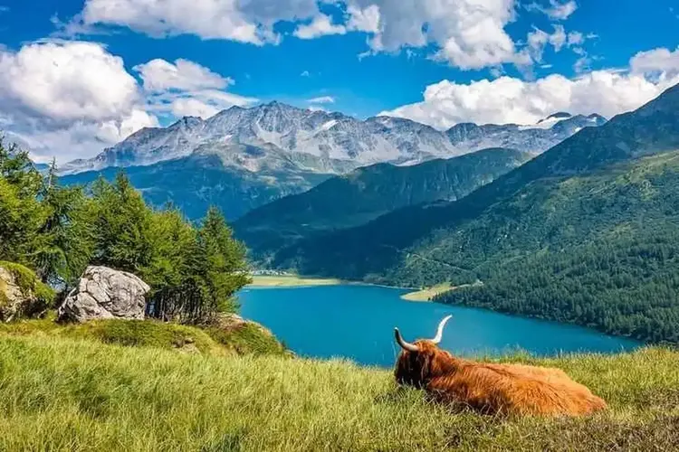 Ficken Graubünden